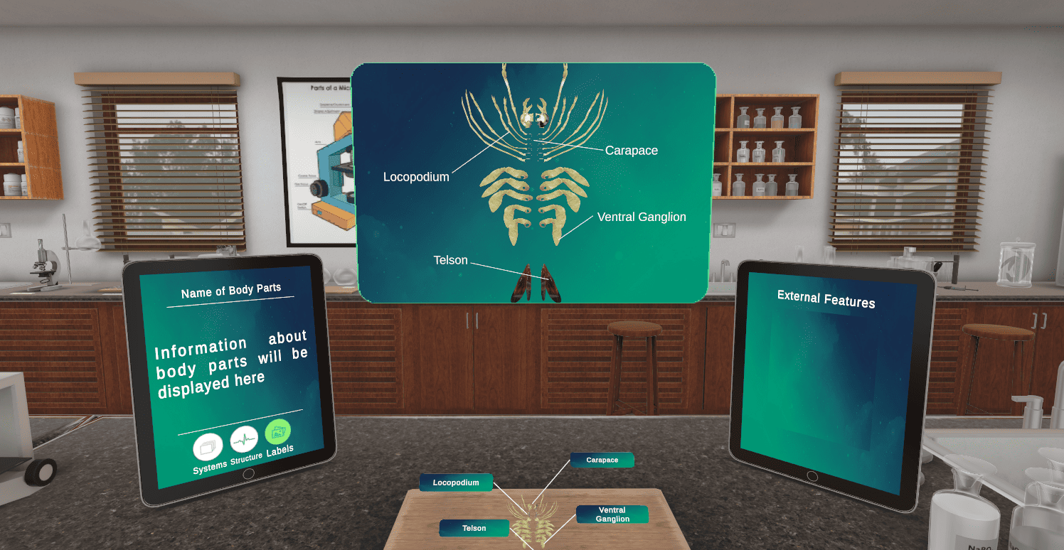 VR Prawn Dissection